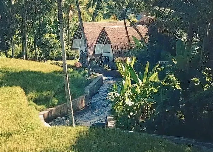 Damuh Pertivi, River&rice Fields View Lovina
