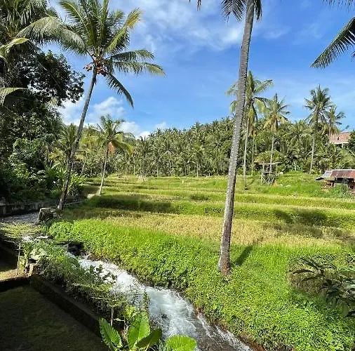 Damuh Pertivi, River&rice Fields View