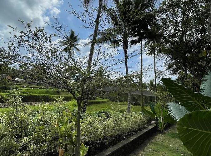 Damuh Pertivi, River&rice Fields View Lovina