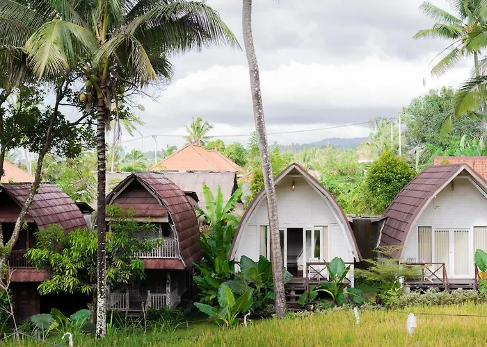 Damuh Pertivi, River&rice Fields View
