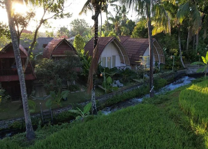Damuh Pertivi, River&rice Fields View *