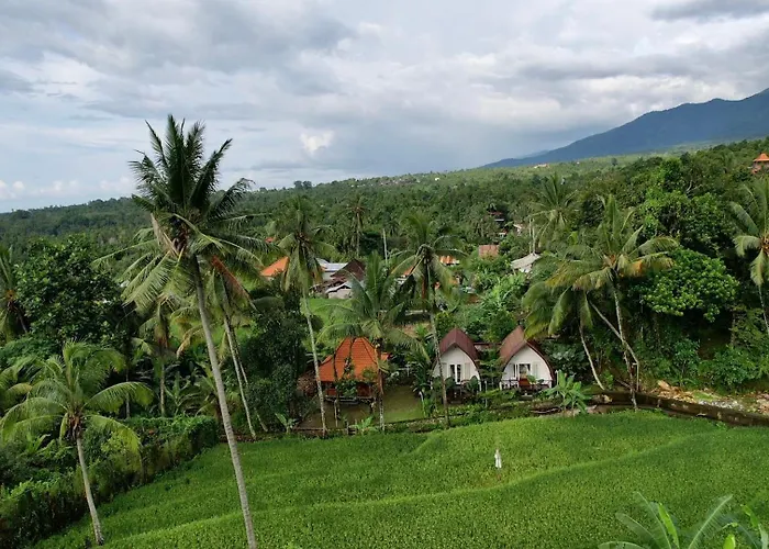Damuh Pertivi, River&rice Fields View * Lovina