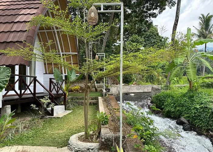 Damuh Pertivi, River And Rice Fields View 民宿 罗威那