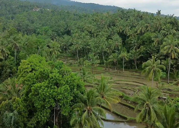 Privatunterkunft Damuh Pertivi, River&rice Fields View